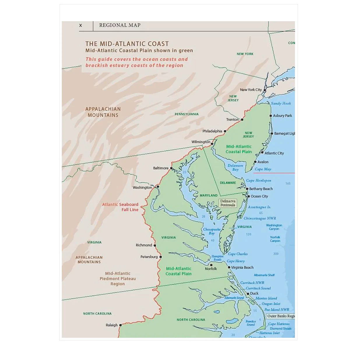 A Field Guide to the Mid-Atlantic Coast: Including the Jersey Shore, Cape May, Delaware Bay, the Delmarva Peninsula, and the Outer Banks