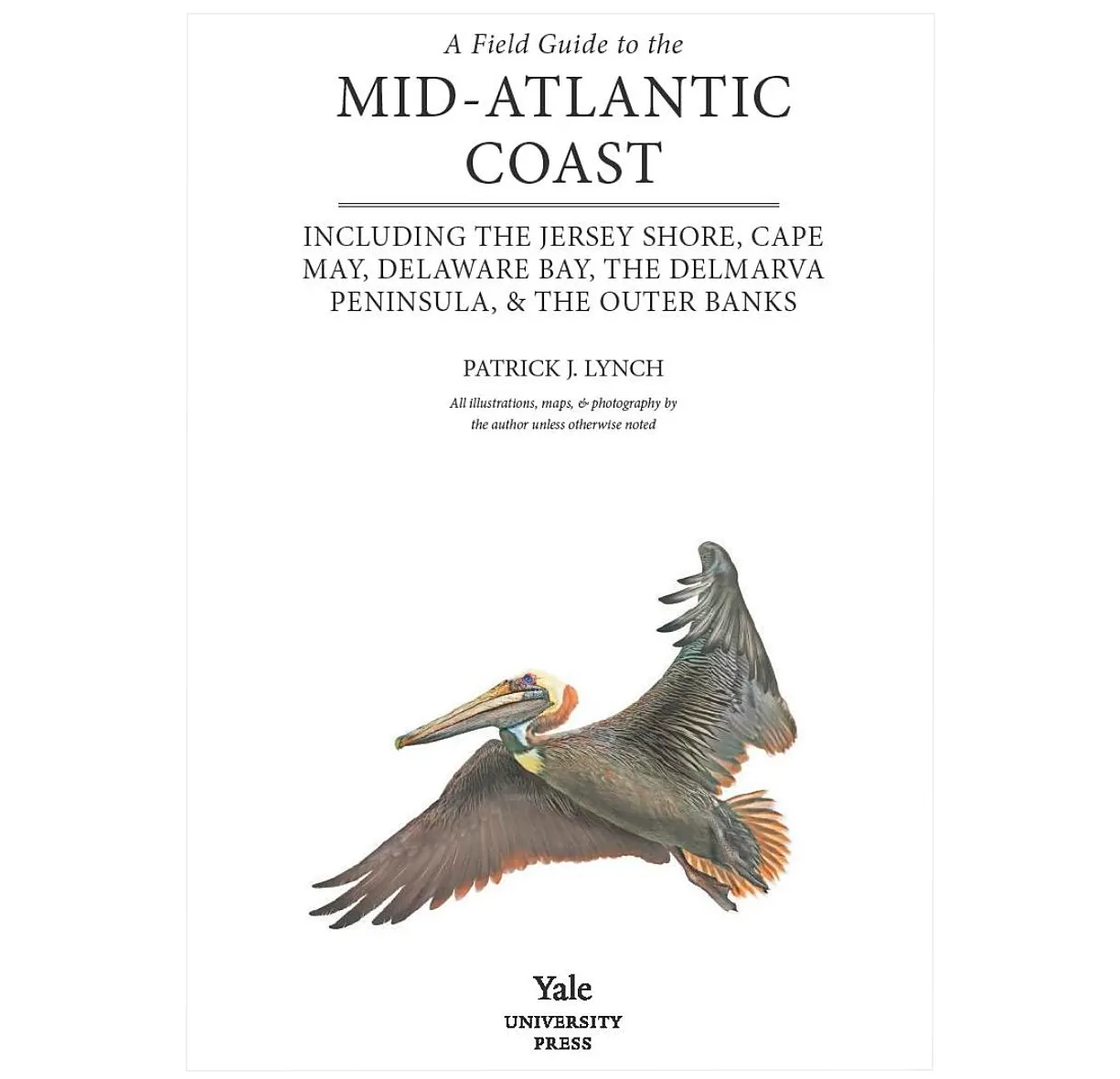 A Field Guide to the Mid-Atlantic Coast: Including the Jersey Shore, Cape May, Delaware Bay, the Delmarva Peninsula, and the Outer Banks