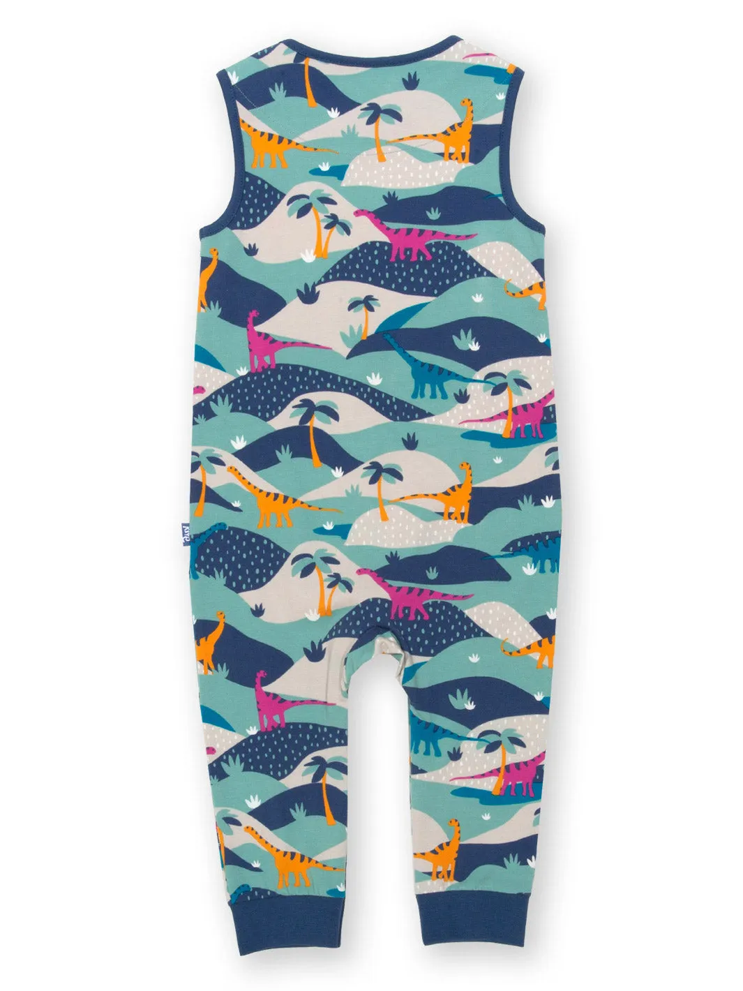 Dino journey dungarees