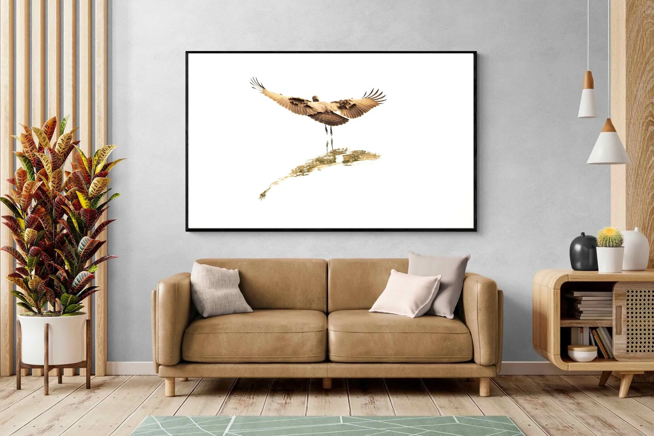 Flight of Grace