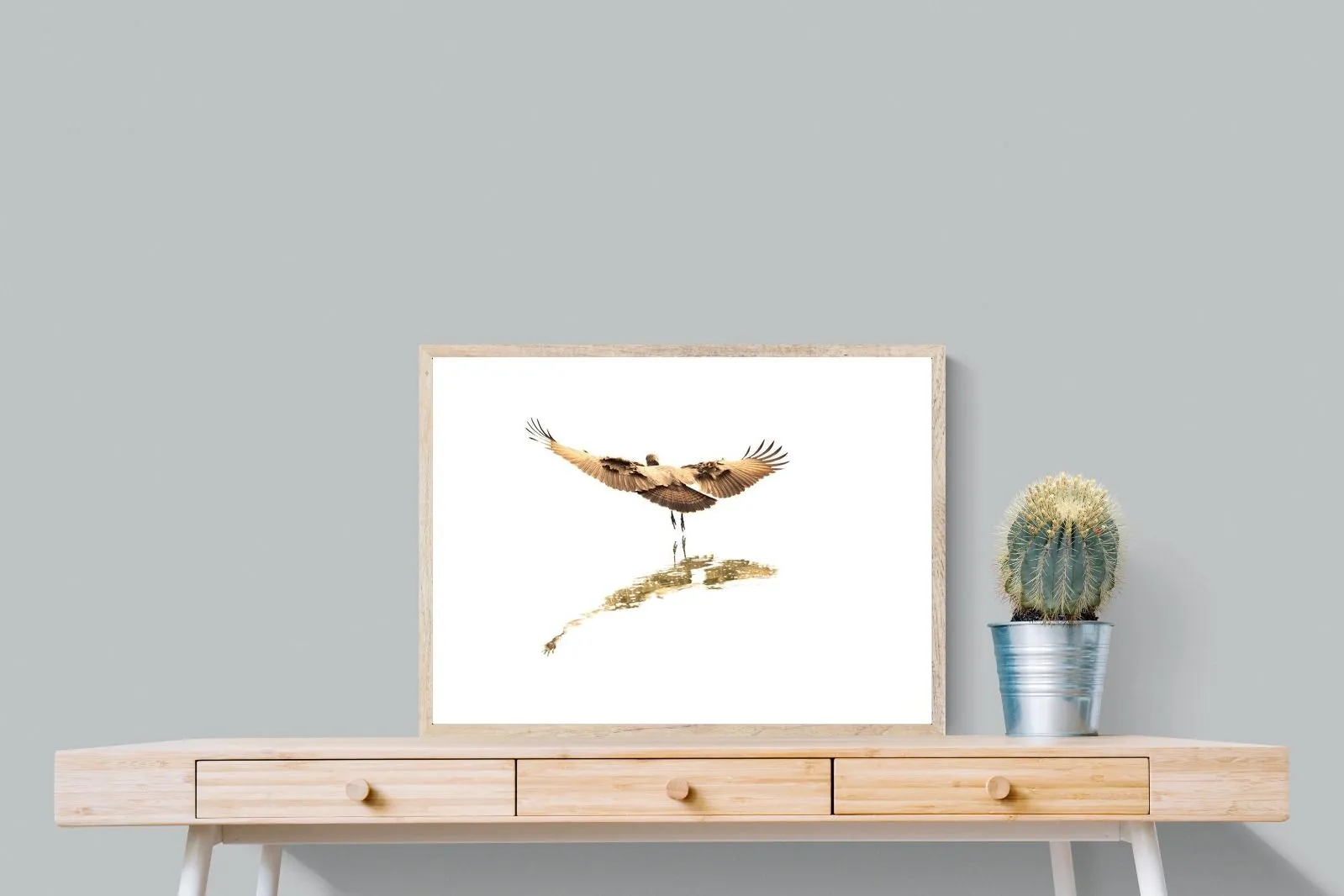 Flight of Grace