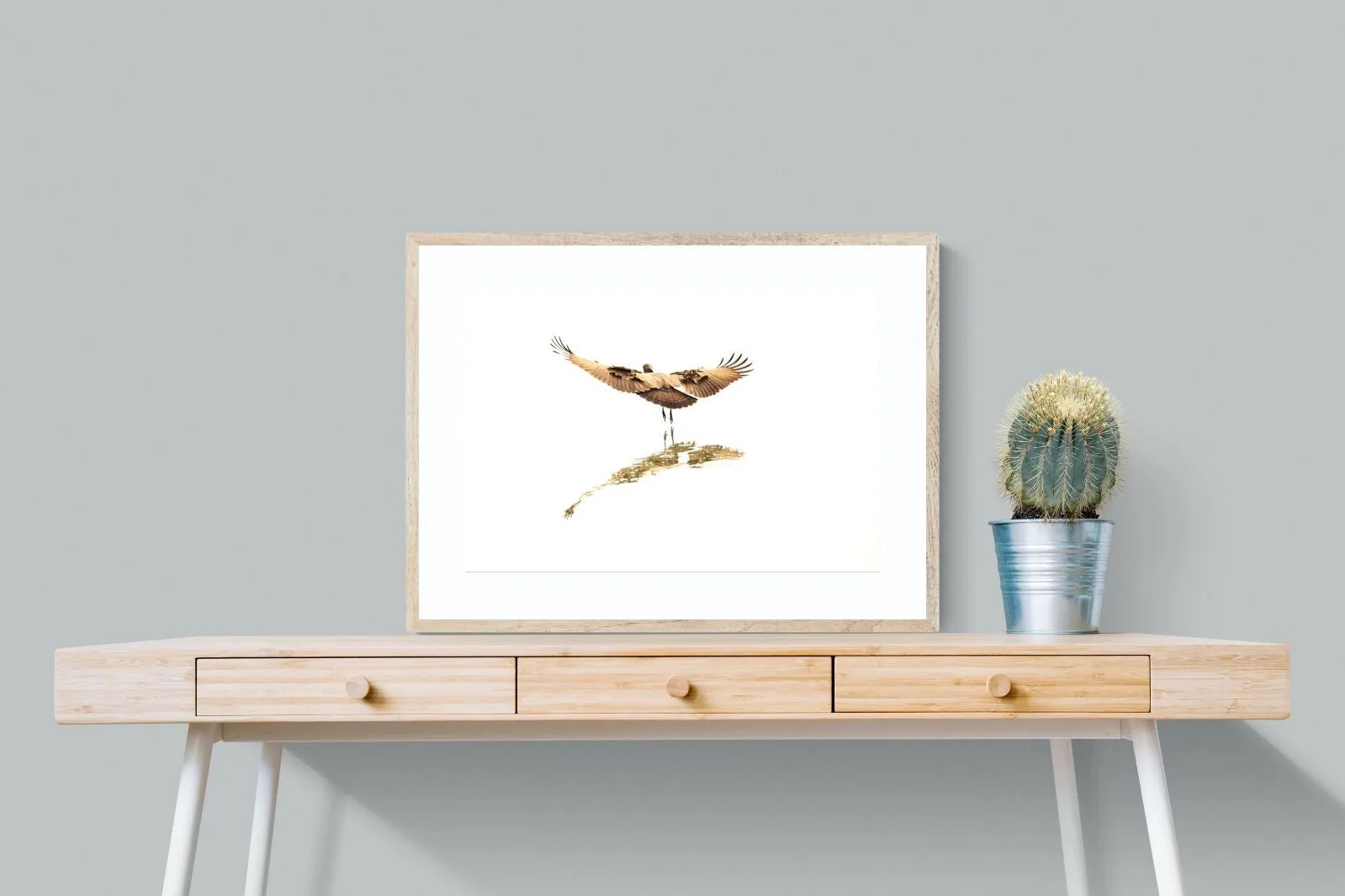 Flight of Grace