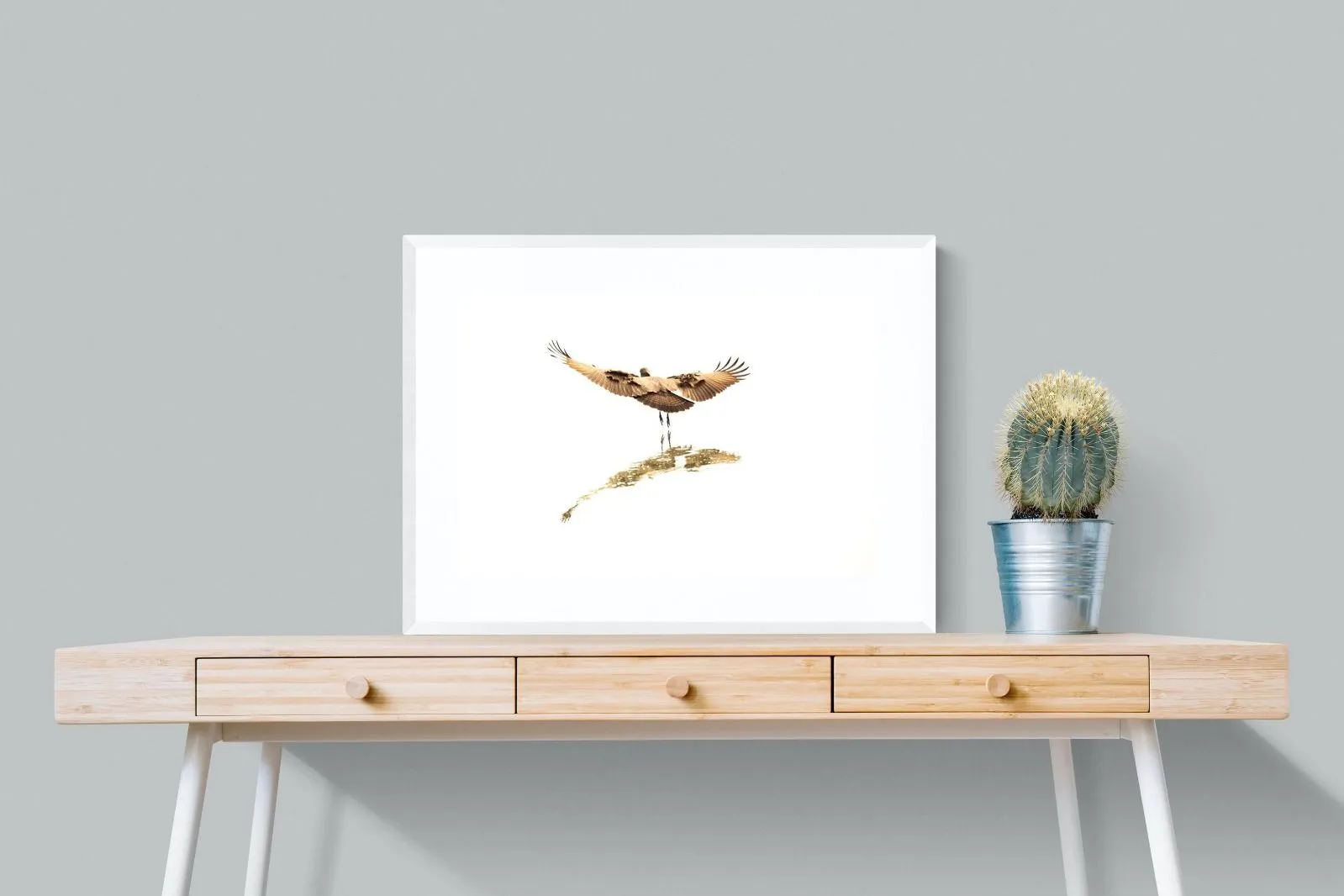 Flight of Grace