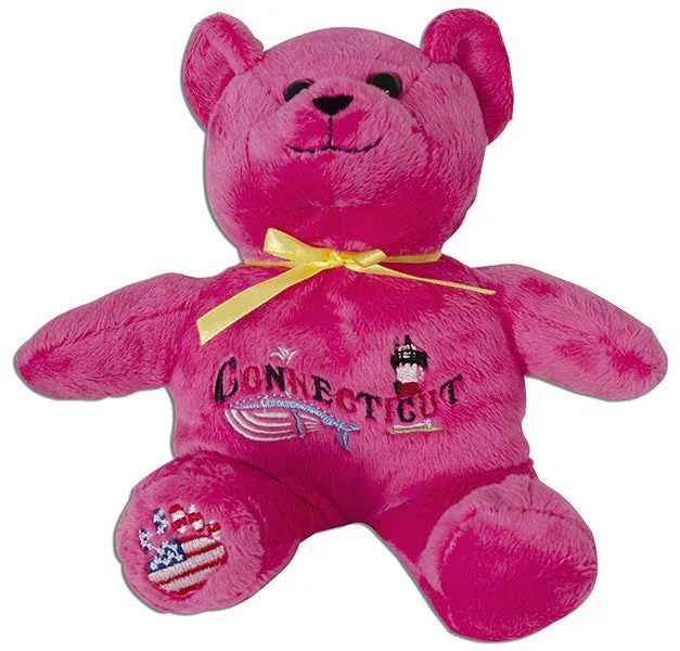 TYCT4 Plush Bear Beanie Connecticut Symbols PINK
